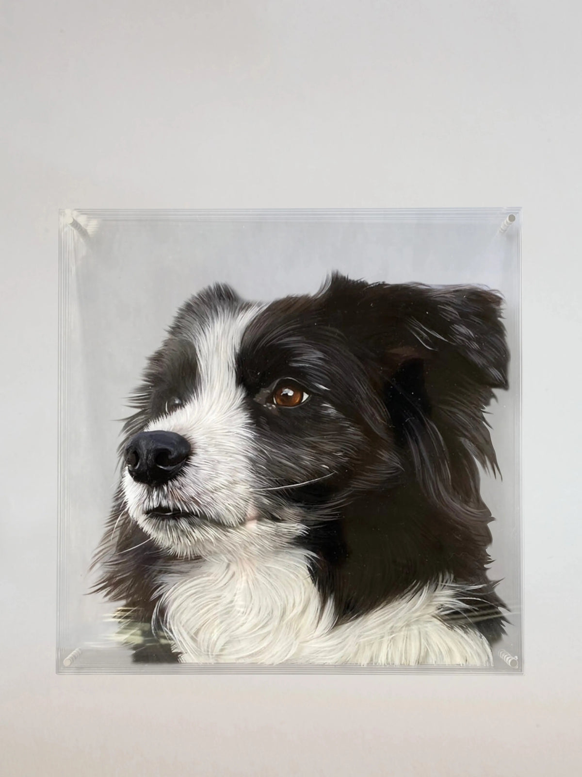 Custom three-dimensional oil-painted Border Collie portrait on glass by PetDecorArt