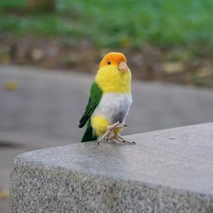 Custom 3D Wool Felted Bird – Full Body Design