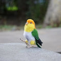 Custom 3D Wool Felted Bird – Full Body Design