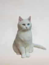 Custom 3D Wool Needle Felted Cat or Dog – Full Body Design unique pet memorial gifts