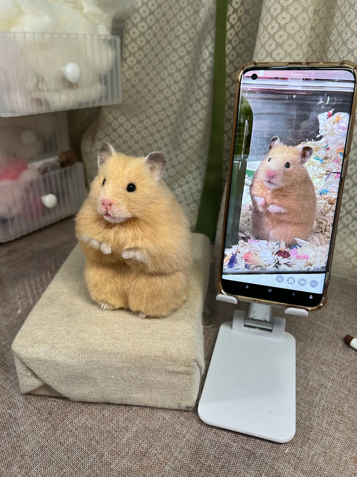 Custom 3D Handmade Felted Hamster & Ferret Stuffed Animal Clones