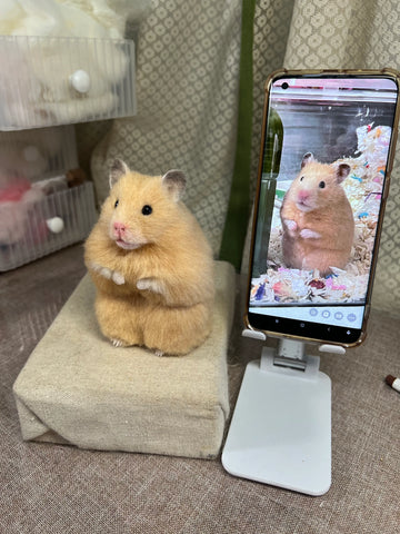 Custom 3D Wool Needle Felted Hamster Ferrets | PetDecorArt