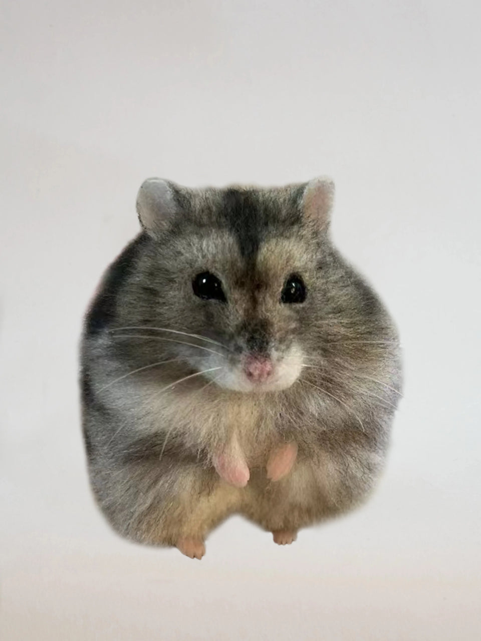 Realistic custom needle-felted hamster sculpture