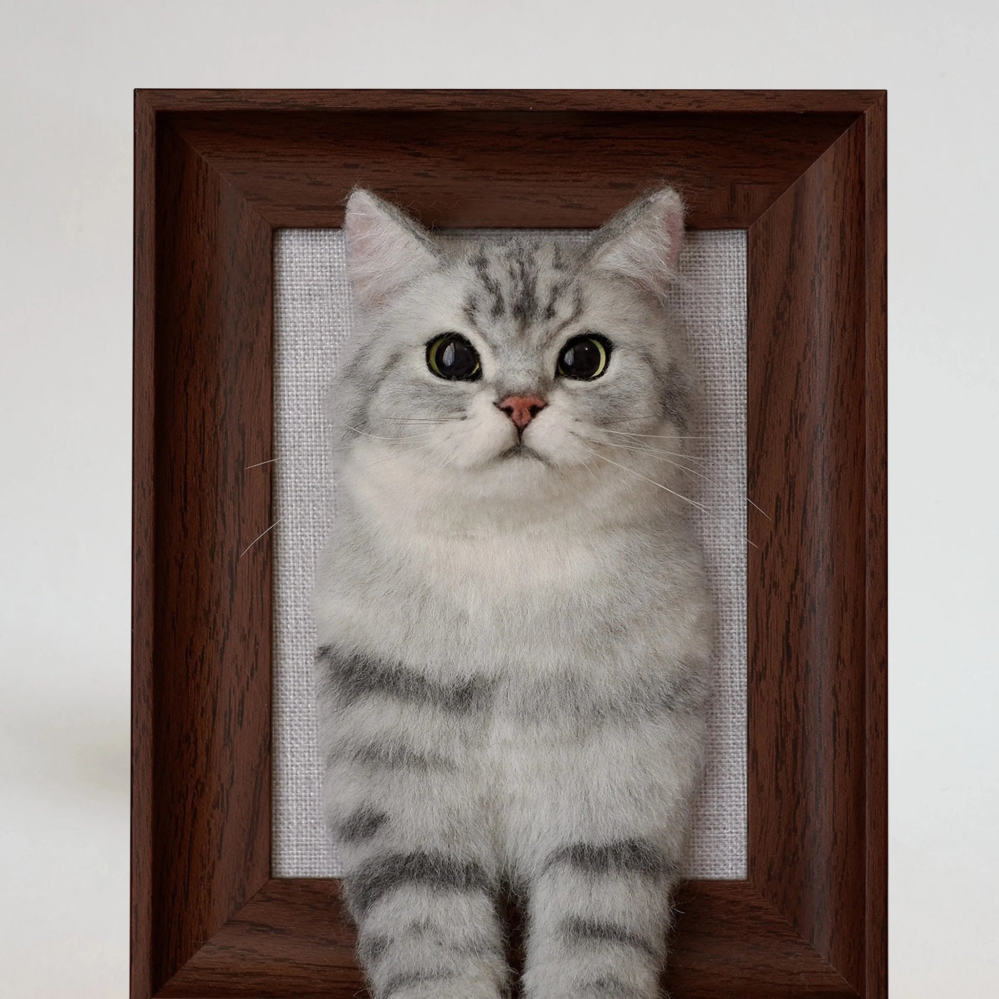 Custom 3D Wool Needle Felted Pet Portrait with Wooden Frame