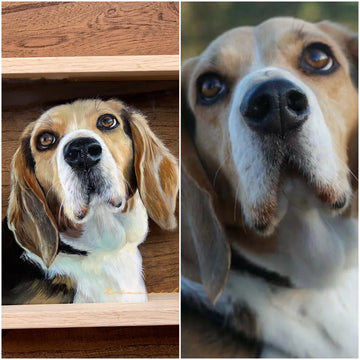 Custom Pet Photo  Frame Painting Oil Painting Painting Glass Art Painting