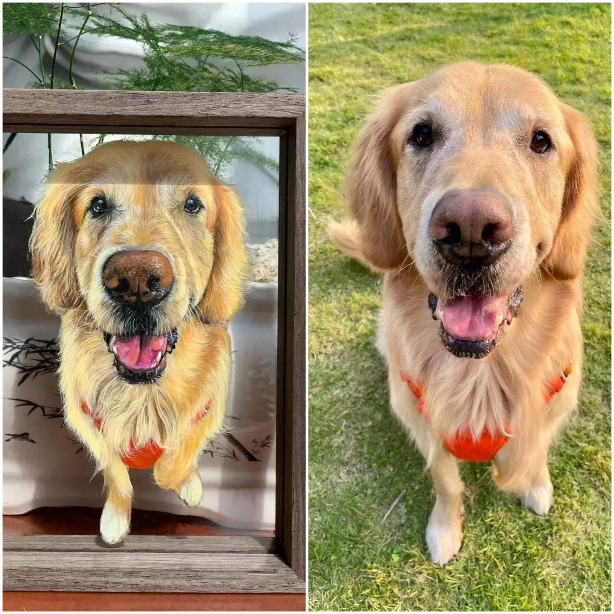 Custom Pet Photo  Frame Painting Oil Painting Painting Glass Art Painting