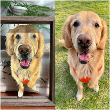 Custom Pet Photo  Frame Painting Oil Painting Painting Glass Art Painting