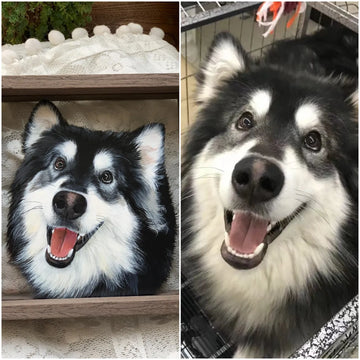 Custom Pet Photo  Frame Painting Oil Painting Painting Glass Art Painting
