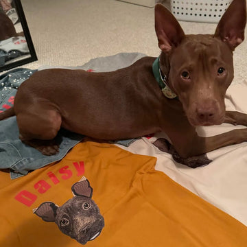 Custom Pet Portrait Embroidered Clothing