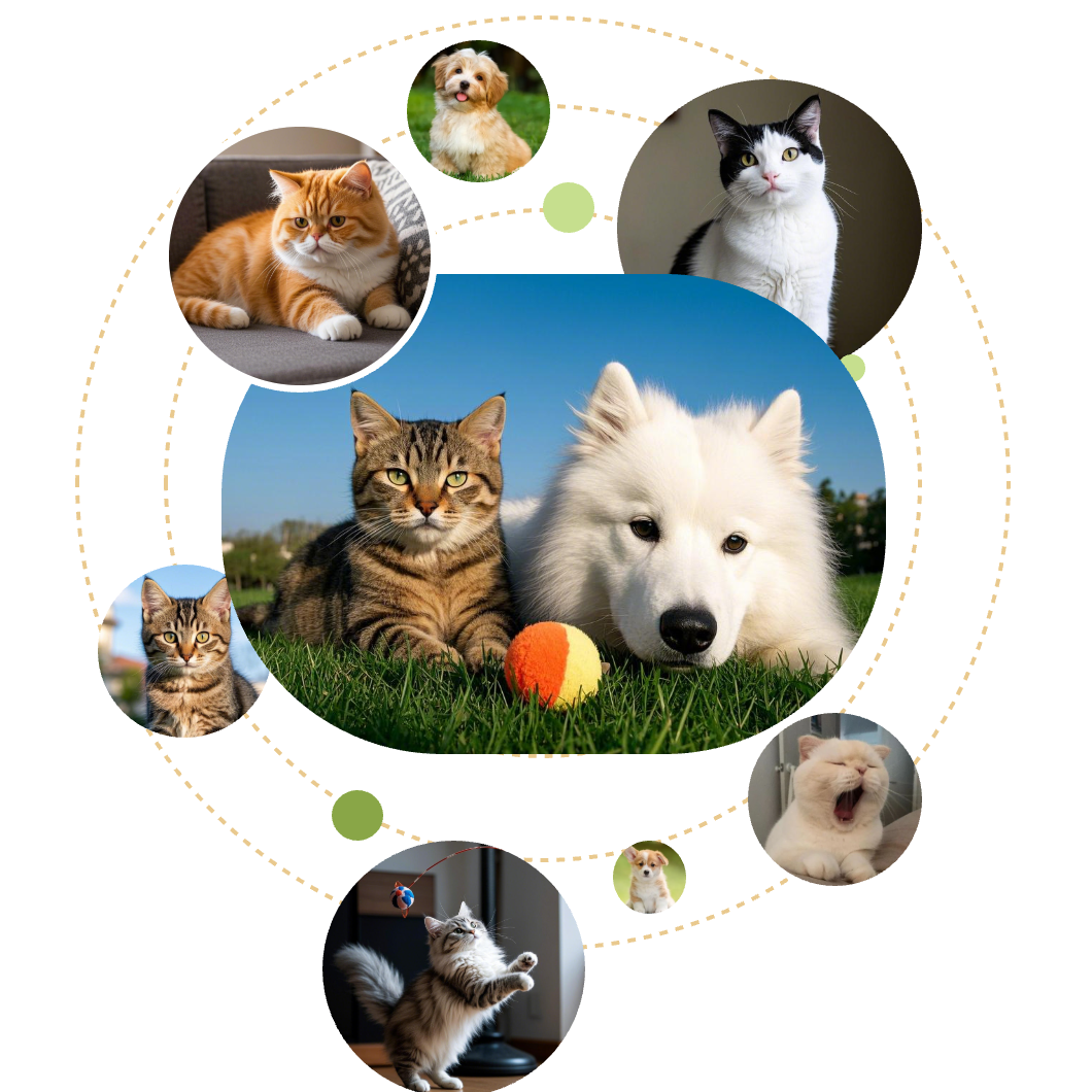 Custom Pet Decor Unique Pet Gifts For Pet Lovers PetDecorArt custom-pet-decor-unique-pet-gifts-for-pet-lovers-petdecorart